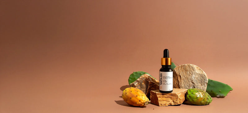 Image de présentation Tafsura