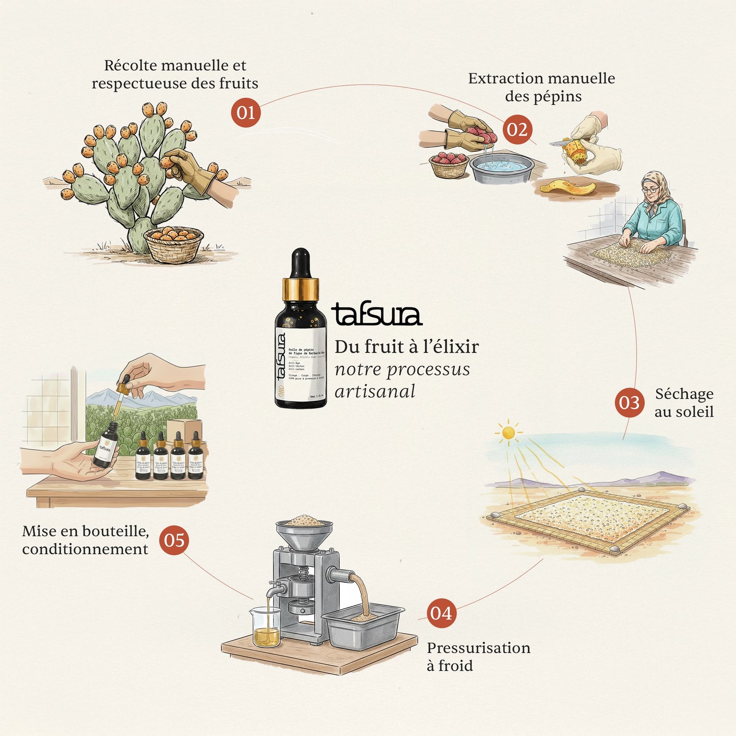 Huile prodigieuse de pépins de figue de Barbarie - Pure et Bio