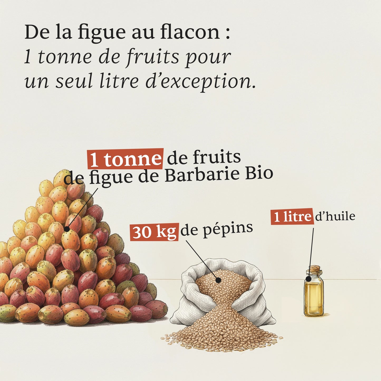 Huile prodigieuse de pépins de figue de Barbarie - Pure et Bio