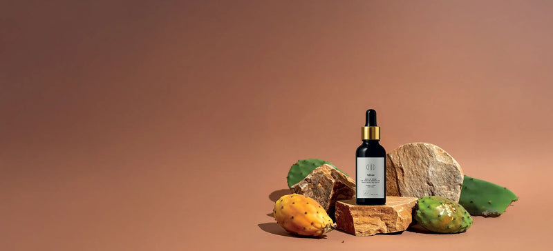 Image de présentation Tafsura